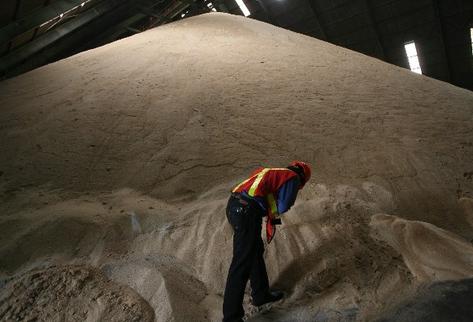Las exportaciones de azúcar hacia Corea del Sur se han contraído en los últimos años por la falta de un TLC, según Asazgua. (Foto Prensa Libre: Hemeroteca) 
