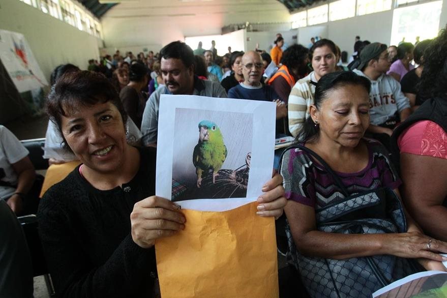 Decenas de personas acuden a registrar especies silvestres al Conap. (Foto Prensa Libre: Hemeroteca PL)