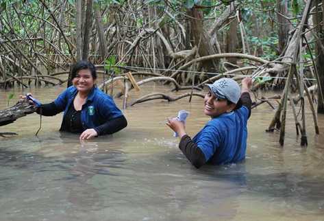 Humedal Manchón Guamuchal, Retalhuleu. (Foto Prensa Libre: Archivo)