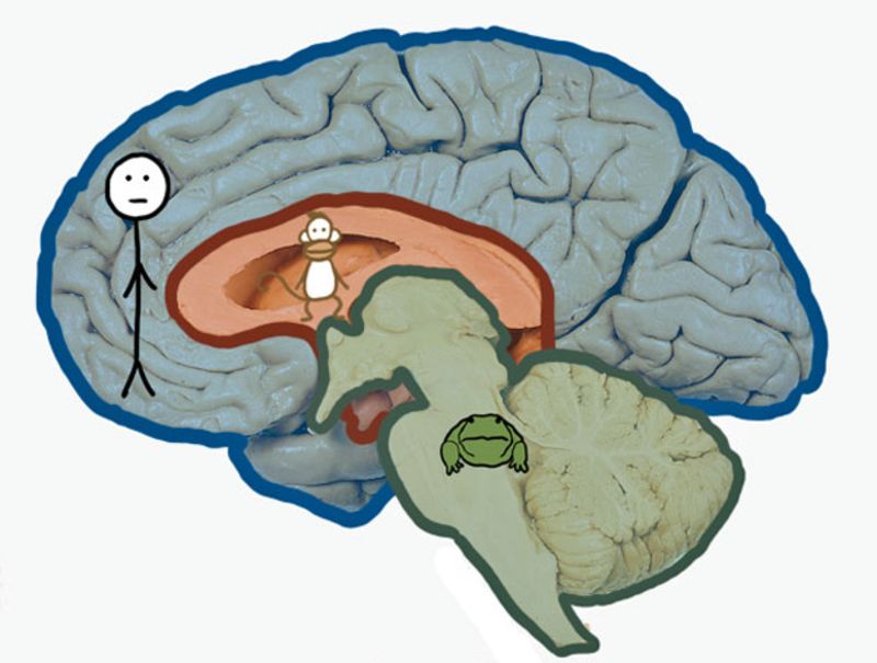 (TIM URBAN, WAIT BUT WHY).