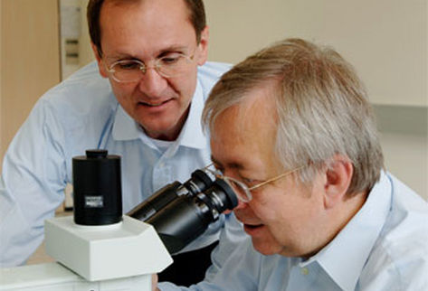 nvestigadores de la empresa alemana Retina Implant Ag