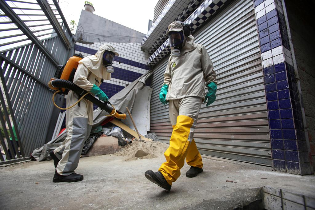 La OMS ha declarado alerta mundial ante el aumento del zika. (Foto Prensa Libre: EFE)