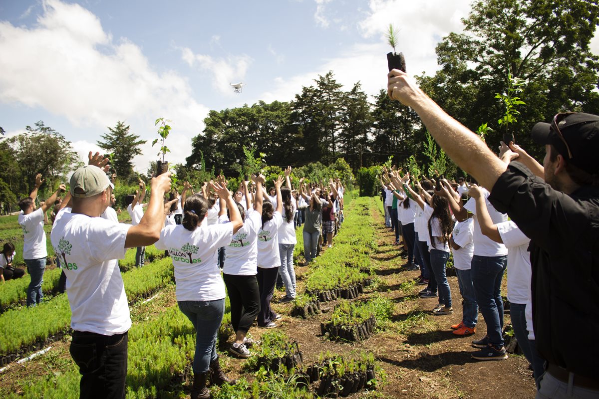 El domingo 26 de junio se llevó a cabo la primera jornada del proyecto El día del millón de árboles. (Foto Prensa Libre: Gildaneliz Barrientos)