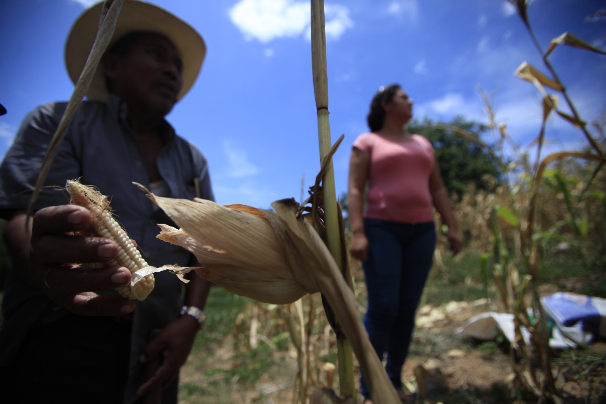 Las condiciones en el área rural han empeorado lo que ha propiciado la migración. (Foto Prensa Libre: Hemeroteca PL)