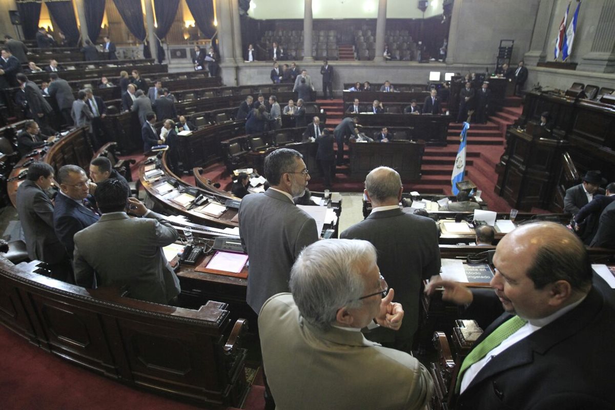Sesión se detuvo cuando diputados de la UNE dudaron de legislar sobre la venta de aves vivas en mercados.