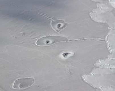 Los misteriosos círculos de hielo en el Ártico que intrigan a la Nasa