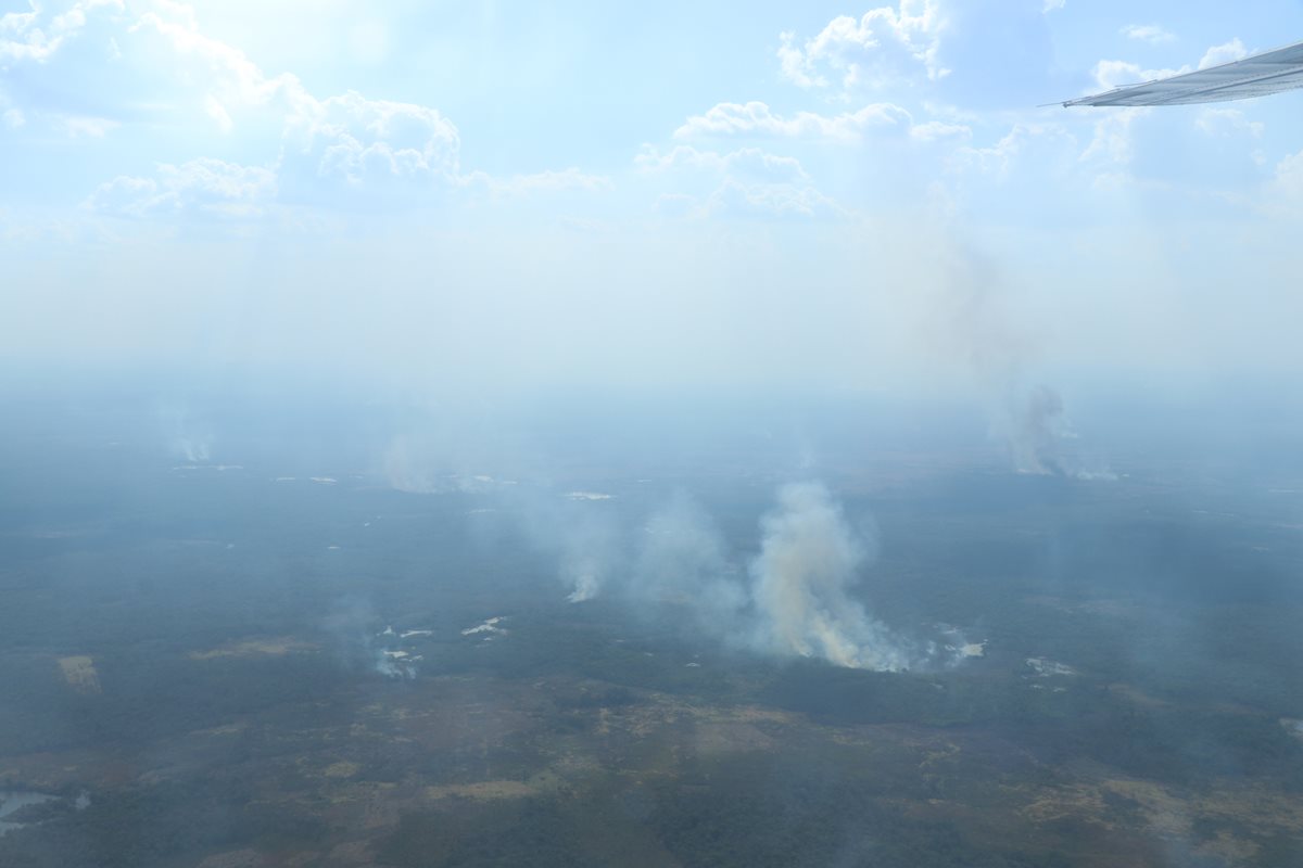 Incendios son provocados por comunidades que han invadido áreas protegidas. (Foto: Hemeroteca PL)