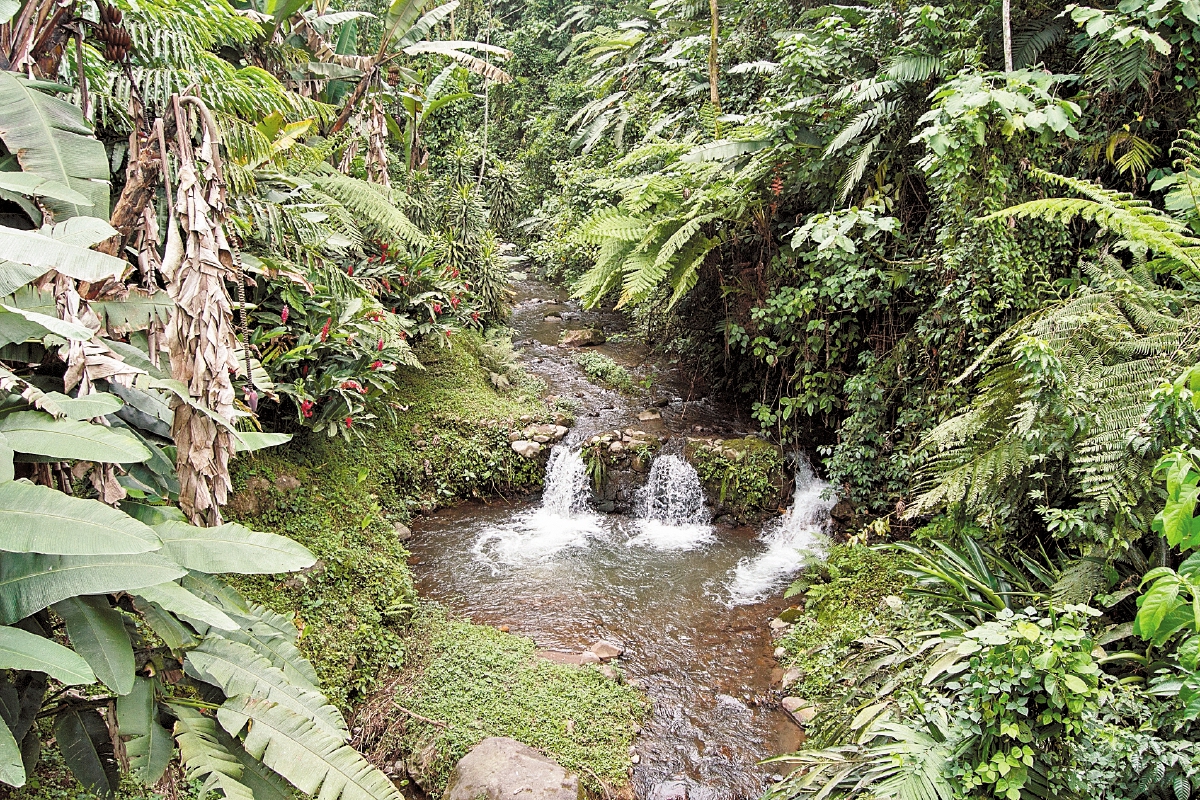 Un hermoso y apacible río cruza por la finca de 3.5 caballerías. Foto Prensa Libre: Roberto Villalobos Viato.