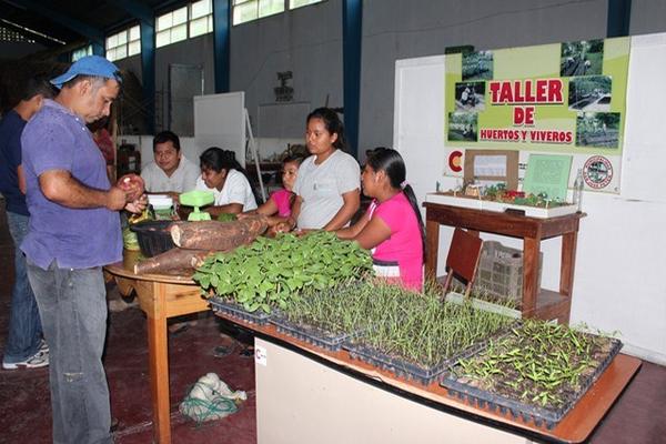 Estudiantes exhiben huertos y viveros en la actividad que se lleva a cabo en San José, Petén. (Foto Prensa Libre: Rigoberto Escobar) <br _mce_bogus="1"/>