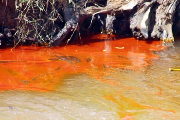 Aceite de palma contamina el agua del  río Tenedores.