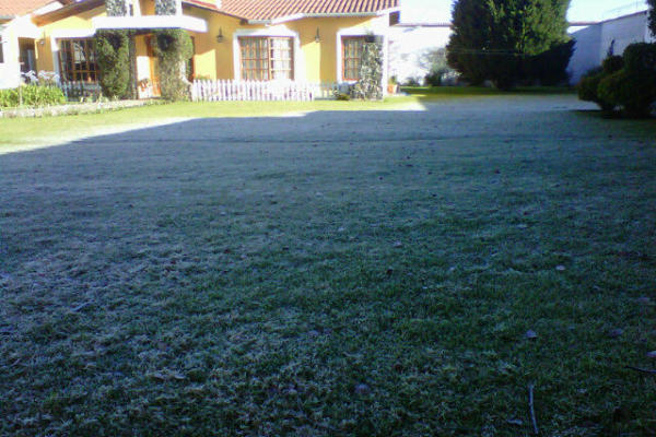 Campos con escarcha amanecieron en Quetzaltenango. (Foto: cortesía de Marcelo Morales)<br _mce_bogus="1"/>