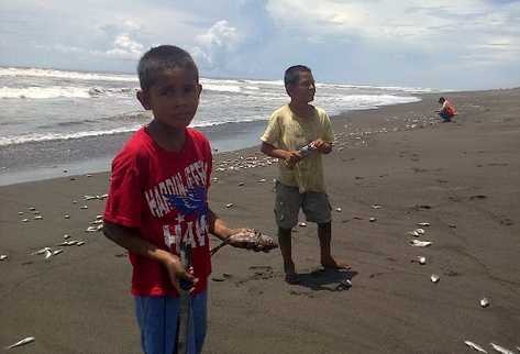 Niños sostienen peces muertos. El Maga advierte a  la población de  que no debe consumirlos.