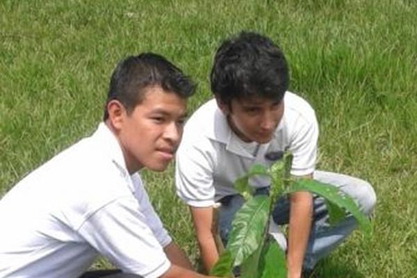 <br _mce_bogus="1"/>