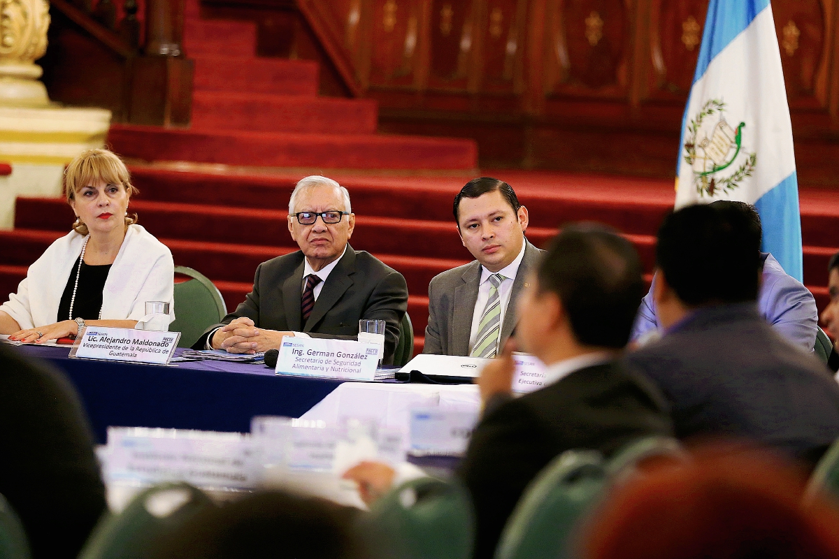 El vicepresidente Alejandro Maldonado Aguirre, este viernes durante la reunión del Conasan. (Foto Prensa Libre: Presidencia)
