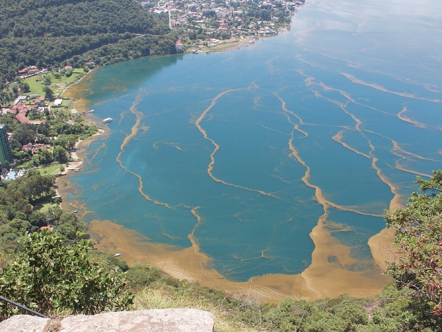 Vista aérea del lago de Atitlán, Sololá, contaminado con cianobacteria.(Foto Prensa Libre: Ángel Julajuj)