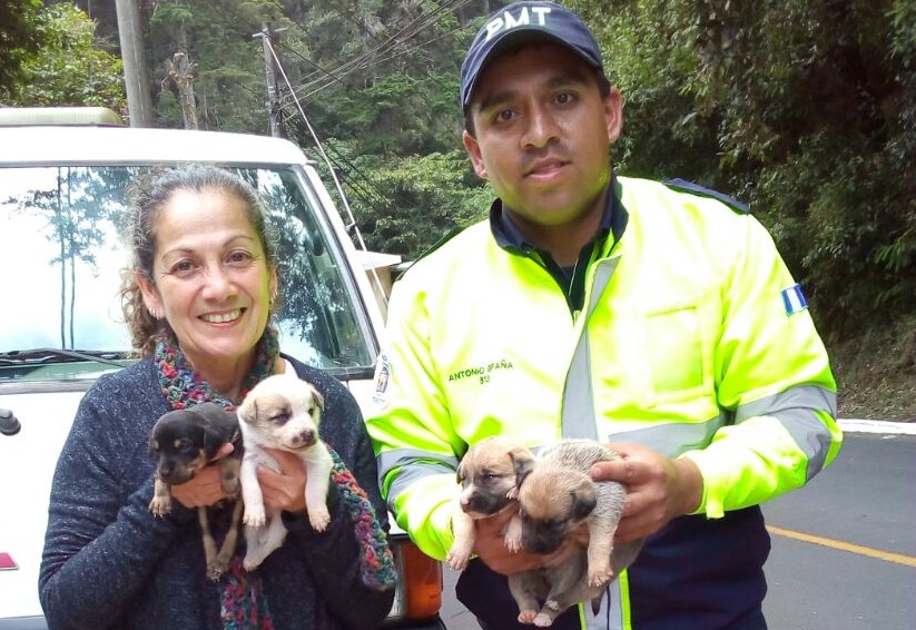 Efrén Antonio Paredes España dedica parte de su tiempo como PMT para resctar animales callejeros o que son maltratados en un hogar. (Foto Prensa Libre: Cortesía)