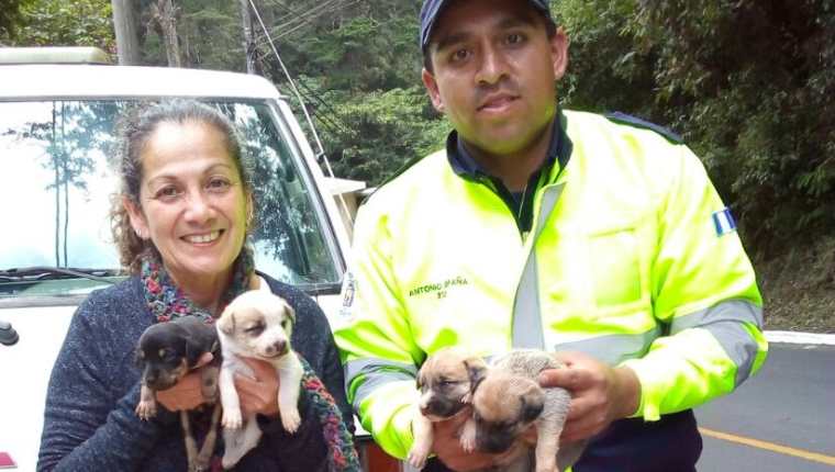 Efrén Antonio Paredes España dedica parte de su tiempo como PMT para resctar animales callejeros o que son maltratados en un hogar. (Foto Prensa Libre: Cortesía)