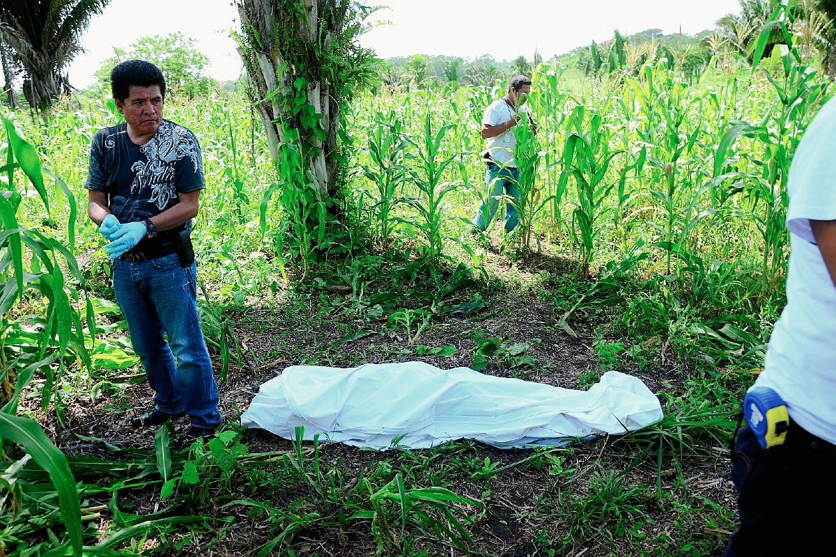 Autoridades observan cadáver que se halla entre milpa, en Sayaxché, Petén. (Foto Prensa Libre: Rigoberto Escobar)