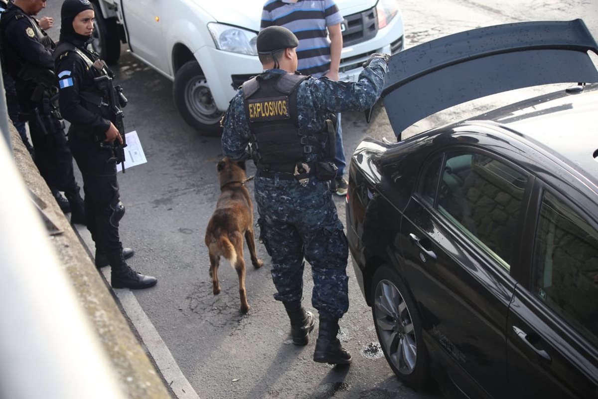 Si una persona se niega a bajar del vehículo se llama al MP y se lleva un perro adiestrado para que busque drogas.(Prensa Libre: PNC)