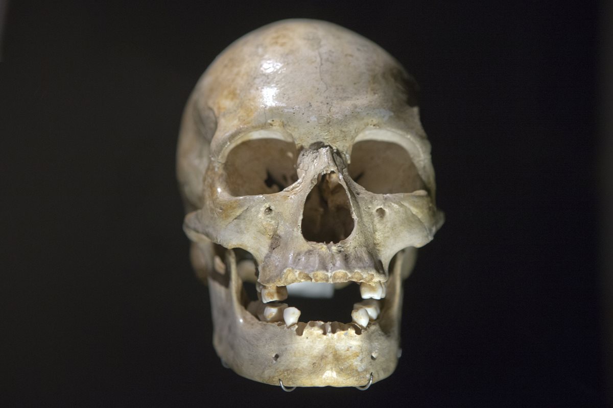 Cráneo de Homo Sapiens de 22 mil años, llamada la mujer de Pataud. (Foto Prensa Libre: AP).