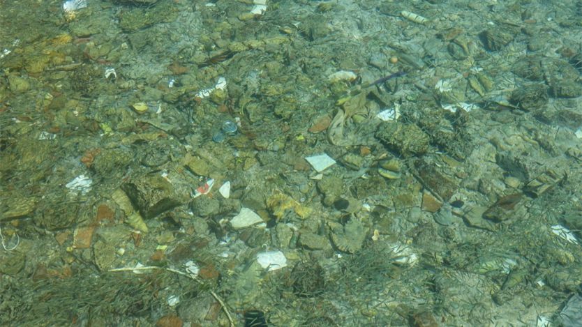 El manejo de basura es uno de los más grandes retos en Santa Cruz del Islote. El mar traslúcido deja ver una buena cantidad de residuos que terminan en el mar. NATALIA GUERRERO