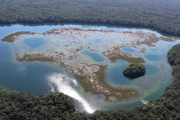 Sobrevuelo por la Biosfera Maya. (Foto Prensa Libre: Conap)
