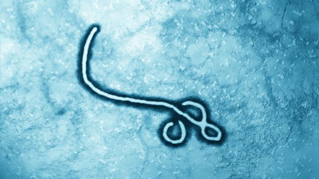 Peter Piot fue uno de los descubridores del virus del Ébola y ayudó a escoger ese nombre, que buscaba no estigmatizar a nadie. (Getty Images)
