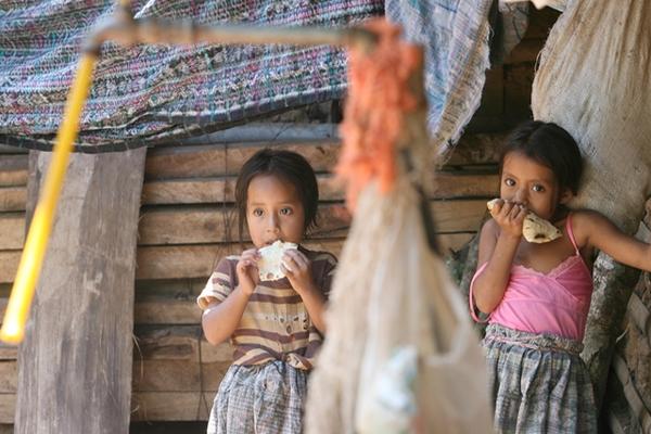 Casi la mitad de niños menores de 5 años del país padecen desnutrición crónica.<br _mce_bogus="1"/>