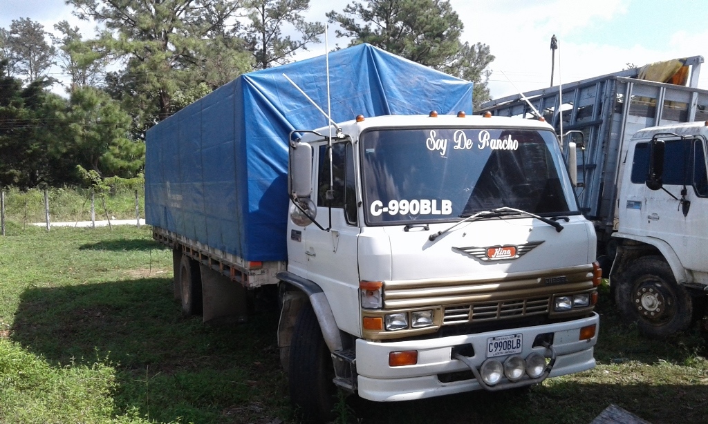 La madera de rosul decomisado era transportado en este camión que fue llevado al predio de Diprona en Poptún, Petén. (Foto Prensa Libre: Walfredo Obando)