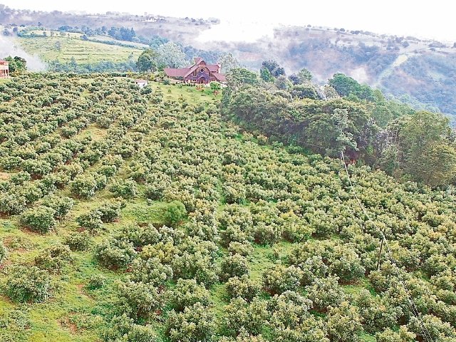 Una vista de la finca que el expresidente Otto Pérez adquirió en Zaragoza, Chimaltenango, ahora inmovilizada por el Juzgado de Extinción de Dominio, lo que impide donarla, venderla o traspasarla a terceras personas.
