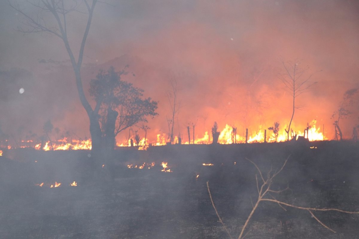 Los bosques afectados por incendios forestales difícilmente se recuperan. (Foto Prensa Libre: Rigoberto Escobar)