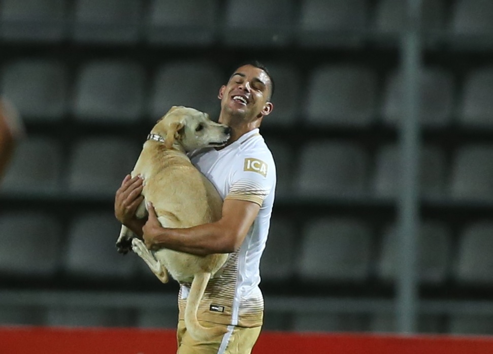El partido de la Copa Libertadores, entre el Táchira y Pumas, fue interrumpido por un perro. (Foto Prensa Libre: AFP)