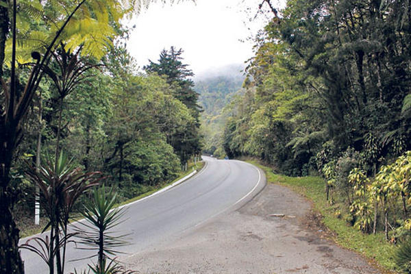 La conservación  de las zonas boscosas cercanas a la zona metropolitana es vital.