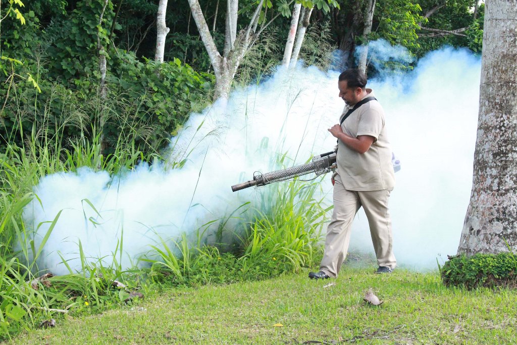 Un trabajador del Área de Vectores en Izabal fumiga plantaciones cercanas a las viviendas. (Foto Prensa Libre: Dony Stewart)