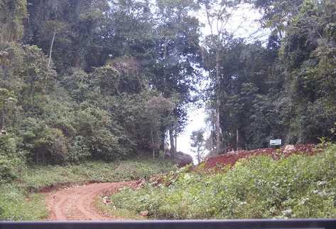 La NUEVA  carretera  comunicaría a la Franja Transversal del Norte con la aldea Mucbiljá, Raxruhá, Alta Verapaz.
