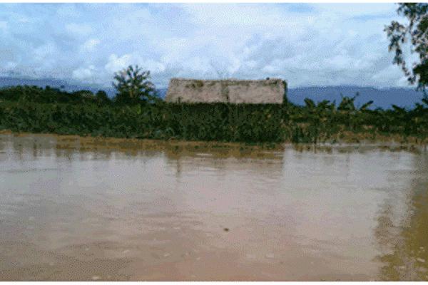Una de las viviendas y parte de los cultivos afectados por la inundación en Panzós. (Foto Prensa Libre: Cortesía Conred) <br _mce_bogus="1"/>