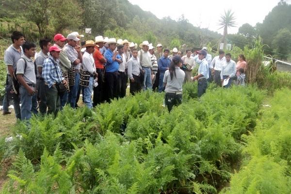 Agricultores reciben información sobre feria que se celebrará en Tierra Blanca Pericón, Uspantán. (Foto Prensa Libre: Óscar Figueroa)