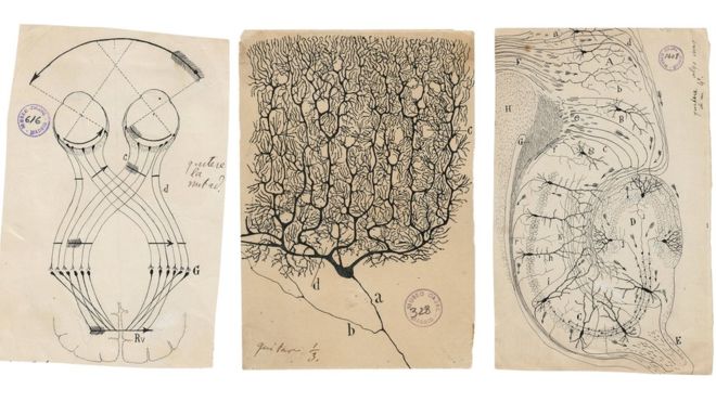 Antes que por la medicina, Santiago Ramón y Cajal se interesó por la fotografía y la pintura. CSIC / INSTITUTO CAJAL