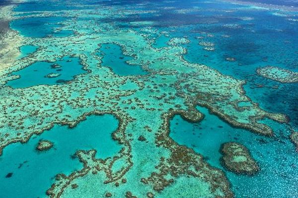 La Gran Barrera de Coral, situada frente a la costa noreste de Australia. (Foto Prensa Libre: AFP)