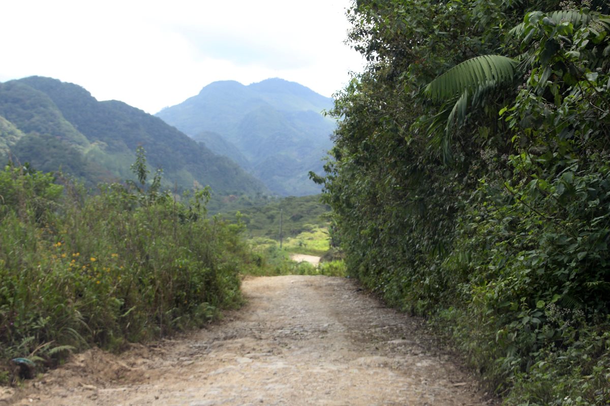 La ruta que conduce de San Pedro Carchá hacia la Franja Transversal del Norte se muestra abandonada en varios tramos(Foto Prensa Libre: Hemeroteca PL)
