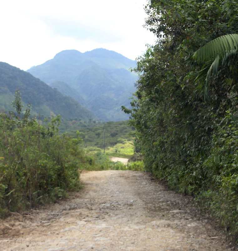 La ruta que conduce de San Pedro Carchá hacia la Franja Transversal del Norte se muestra abandonada en varios tramos(Foto Prensa Libre: Hemeroteca PL)