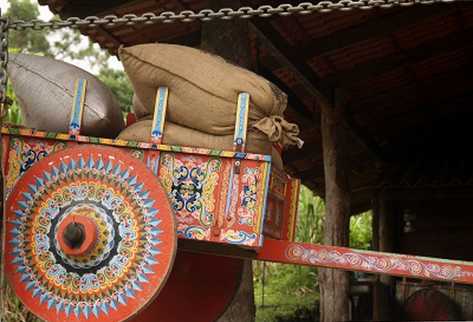 El café sigue siendo un producto importante dentro de la economía costarricense. (Foto Prensa Libre: Shutterstock)