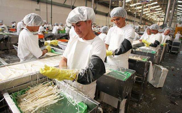 Hay 11.1 millones de guatemaltecos en edad de trabajar. (Foto Prensa Libre: Hemeroteca PL)