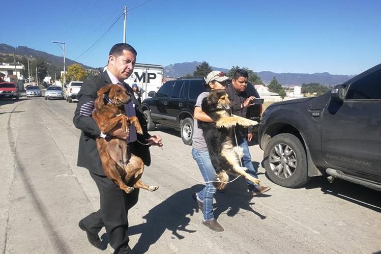 Autoridades rescatan a dos de los perros localizados en el inmueble en La Esperanza, Quetzaltenango. (Foto Prensa Libre: Hemeroteca)