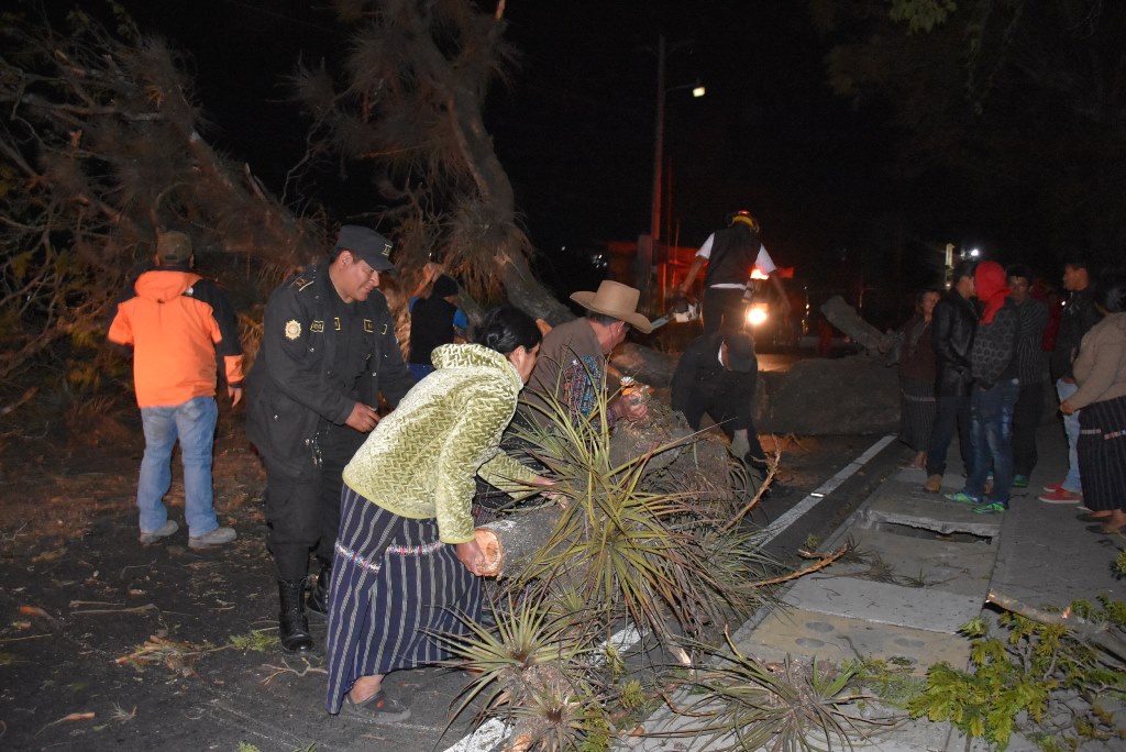 Fuerte viento derribó un árbol en la cabecera de Sololá. (Foto Prensa Libre: Édgar Sáenz).