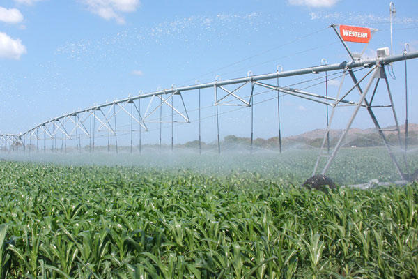 Gobierno panameño construirá cuatro sistemas de riego para producción agrícola. (Foto Prensa Libre: ACAN-EFE)