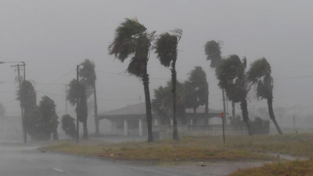 Las tormentas tropicales se convierten en huracanes cuando los vientos superan los 120 kilómetros por hora. (MARK RALSTON/AFP/GETTY IMAGES)