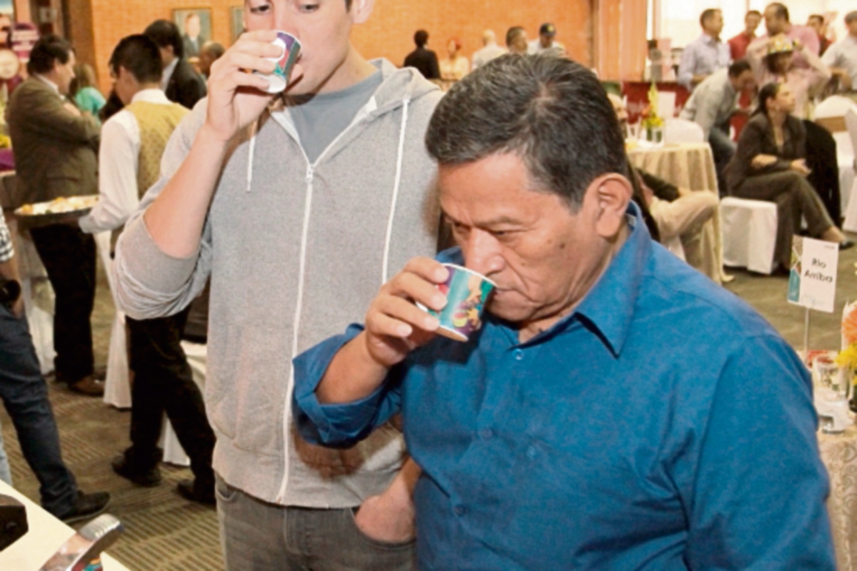 Los mejores cafés seleccionados participarán en la subasta virtual. (Foto Prensa Libre: Álvaro Interiano)