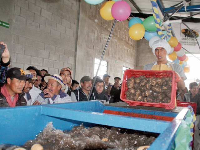 La nueva planta de lavado de papa generará diez empleos directos. (Foto Prensa Libre: Hemeroteca PL)