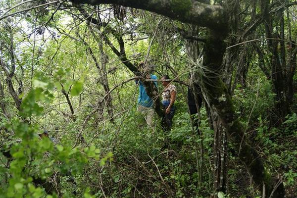 Los cadáveres fueron localizados dentro un terreno boscoso. (Foto Prensa Libre: Carlos Grave)<br _mce_bogus="1"/>